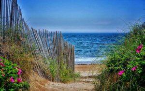 Beach Trail