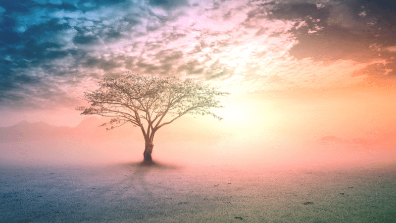 Past Life Healing-website