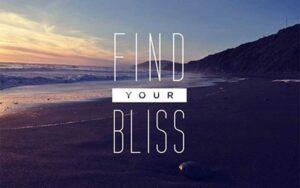 Find Your Bliss