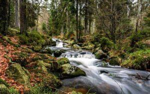 Flow of Life