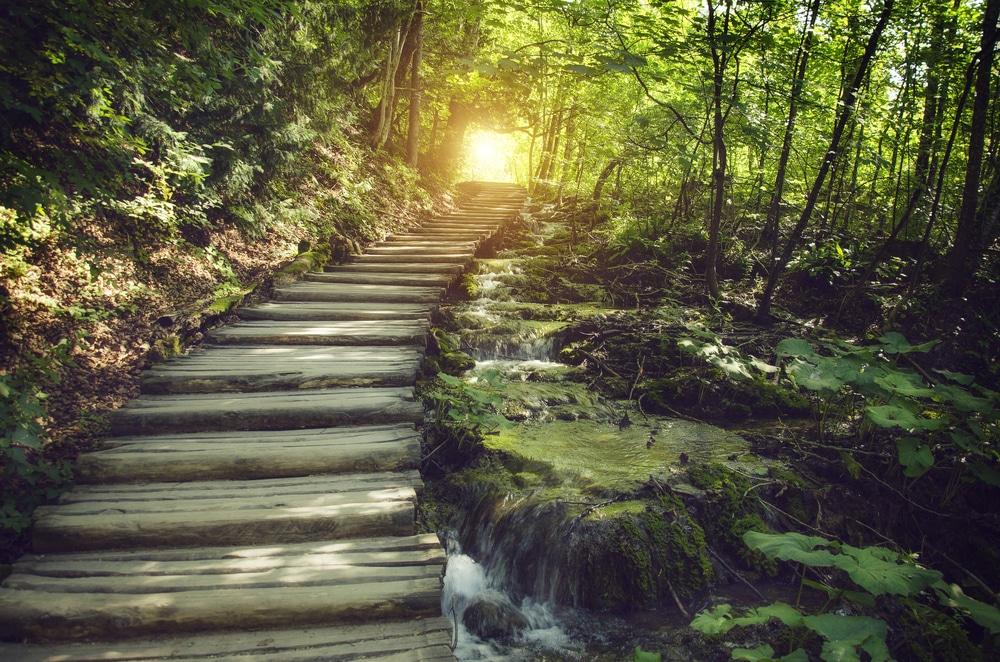 The six-month psychic development journey
