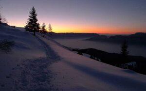 Happy Winter Solstice